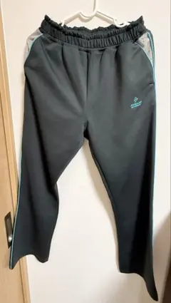 レディースDUNLOP MOTORSPORT ジャージパンツ Mサイズ