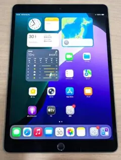 【正常動作品】iPad Air第3世代 64GBグレイ MUUL2J/A