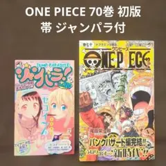 ギガント10巻初回限定版 パピコメモリアルポストカードブック付き