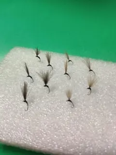 Item thumbnail for item 780df197-ca36-4bfa-bb77-915fcd17a18f