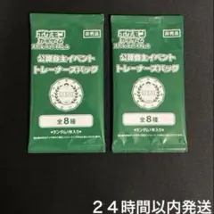 オーガナイザープロモパック2025 160パック 2025年最新】オーガナイザープロモパックの人気アイテム - メルカリ