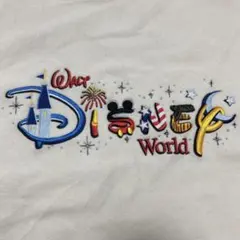 DisneyフリーススウェットM/ミッキーマウス Disney World