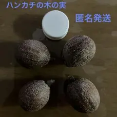 sabikixx様 リクエスト 2点 まとめ商品