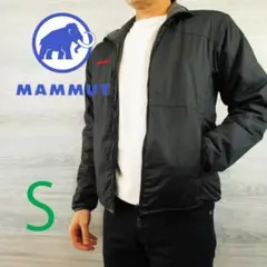 Item thumbnail for item b2aa1511-40f8-4a5c-822e-b110016ebea2