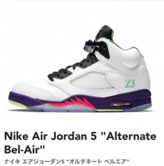 Nike Air Jordan 5 