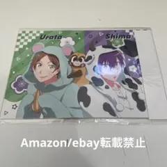 M41.浦島坂田船の日常　DVD あにばーさる　特典　ポストカード　干支　お正月