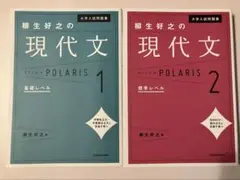 柳生好之　現代文ポラリス　1.2 2冊セット