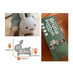 Item thumbnail for item 00eb0db2-9a34-4f01-9d9c-fa6239b55d7b