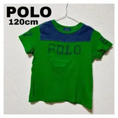 POLO Tシャツ 120cm