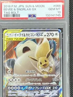 【PSA10 セット】ブイズGX RR　11枚セット PSA10 セット】ブイズGX RR 11枚セット PSA10 セット】ブイズGX RR 11