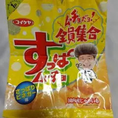 よっちゃん食品 ウメトラ兄弟 たっぷりサイズ - メルカリ