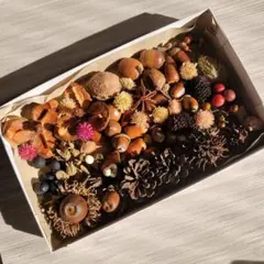 laundry様 リクエスト 2点 まとめ商品