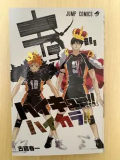 ハイキュー!! 公式カラーイラスト集