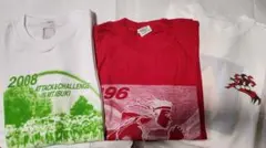 Item thumbnail for item 5d536f9e-d9e4-483f-83ca-4ad49d26ddbc