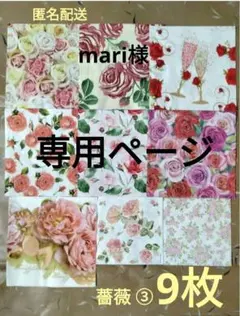 mari様 リクエスト 3点 まとめ商品