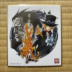 ONEPIECE ミニ色紙