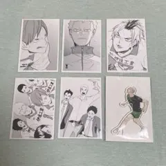 ハイキュー!! クロニクル 青根高伸 二口堅治 アクフィ 紙類