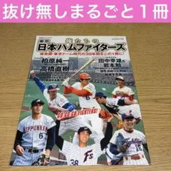BBMカード 日本ハムファイターズ 高橋直樹選手 直筆サイン 2026年最新】高橋 直樹 野球の人気アイテム - メルカリ