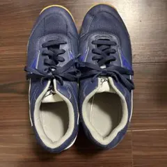 Item thumbnail for item 671b0319-2213-497f-9239-af4585e3ba75