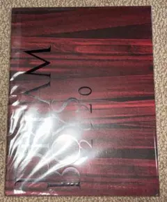 DREAM BOYS 2020 パンフレット