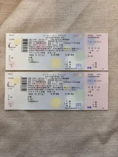 디즈니 온 클래식 2025 하마마쓰 (시즈오카) 공연 S석 페어 티켓