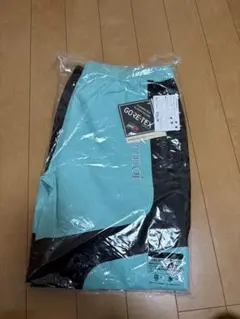 GORE-TEX 3L ALPINIST PANTS サイズLのサムネイル