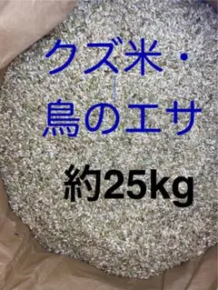 Item thumbnail for item fdd5bb9d-46a4-4779-b4e2-38d60b6f07ff