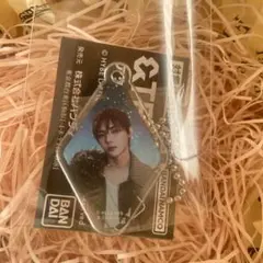 &TEAM NICHOLAS アクリルキーホルダー