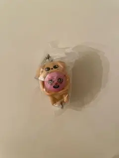 Stray Kids チャンビン トゥエッキ スンミン パッピーム SKZOO