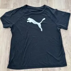 プーマ　Tシャツ　スポーツ