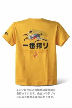 Item thumbnail for item a744d6a0-fc27-484b-88b6-45176af1c2b3