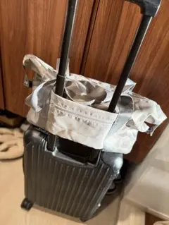 Item thumbnail for item 0874906c-ae2e-4c55-ac0e-405d8cdd7ab0