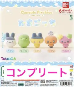たまごっち ガチャ カプセルフロッキーズ 5種類 コンプ セット