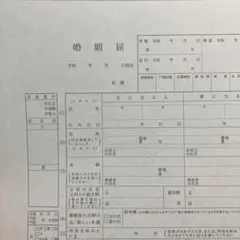 ティファニー　婚姻届　【令和表記】