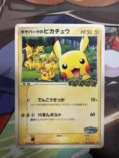 【最安値】ポケパークのピカチュウ PROMO プロモ 043/PCG-P 買取】ポケモンカード プロモ ポケパークのピカチュウ 043/PCG-P