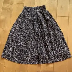 Item thumbnail for item 7c9e7af6-8884-40bc-bde1-5ae73831d3da