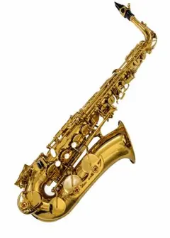 今月限定新品】カーブドソプラノサックス 唯一無二の音色！動画あり