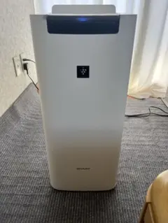 Item thumbnail for item 822bf75a-27a5-4200-b35b-925955145f4f