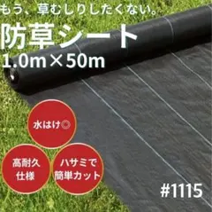 防草シート 雑草成長を抑制 1mx50mUピン100個セット高透水性、園芸用