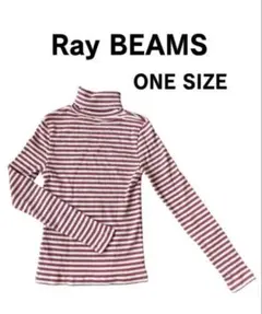 Ray BEAMS ストライプタートルネック長袖