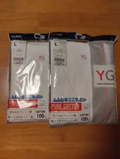 GUNZE YG VネックTシャツ Lサイズ 2枚セットのサムネイル