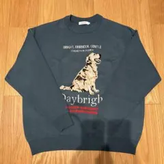 niko and… アニマルグラフィックニットプルオーバー　ブルーグリーン　M