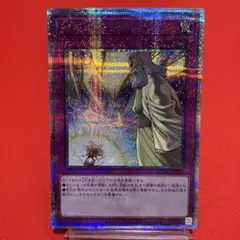 遊戯王 風霊媒師ウィン クォーターセンチュリーシークレットレア