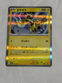 ゼラオラ ポケモンカード 055/193　メガドリームex　新品