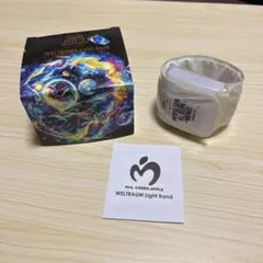 2025年最新】ゼンジン未到とヴェルトラウム ライトバンドの人気