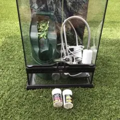 2026年最新】爬虫類飼育セットの人気アイテム - メルカリ