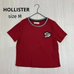 ◆ HOLLISTER ワッフルリンガー 半袖 クロップド タイガーワッペン M