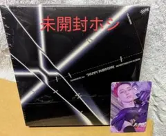 未開封 HAPPY BURSTDAY DAREDEVIL Ver. HOSHI