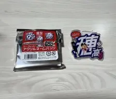 ソフトバンクホークス　シークレットアクリルネームバッチ　山川穂高選手