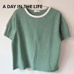 A DAY IN THE LIFE チェック柄半袖Tシャツ グリーンのサムネイル